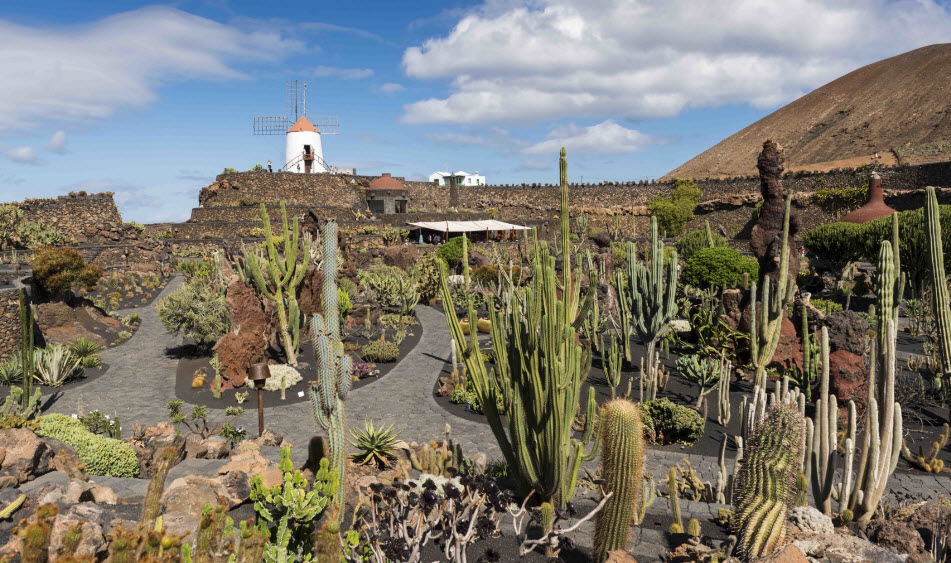 Cactus Garden, Spain